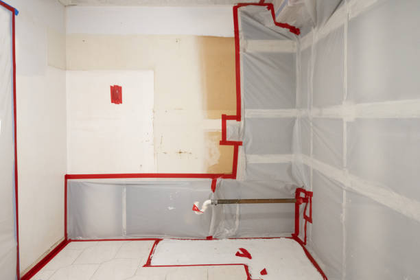 Best Mold Removal for HVAC Installations  in Darien, IL