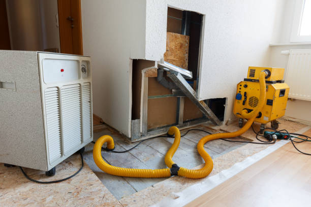 Best Water Damage & Mold Remediation  in Darien, IL